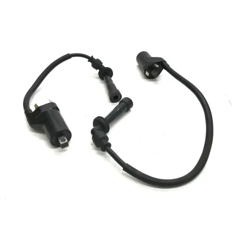 Bobine allumage CAGIVA RAPTOR 650 2001-2006