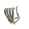 Collecteur (echappement) HONDA CBR 1000 RR 2004-2007 FIREBLADE Collecteur (echappement) HONDA CBR 1000 RR 2004-2007 FIREBLADE