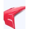 Cache flanc de carenage droit DUCATI 1198 SP 2011 SUPERBIKE Cache flanc de carenage droit DUCATI 1198 SP 2011 SUPERBIKE