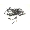 Faisceau electrique HARLEY DAVIDSON FXBB 1745 2018-2020 SOFTAIL STREET BOB