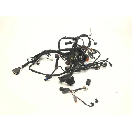 Faisceau electrique HARLEY DAVIDSON FXBB 1745 2018-2020 SOFTAIL STREET BOB