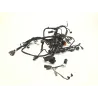 Faisceau electrique HARLEY DAVIDSON FXBB 1745 2018-2020 SOFTAIL STREET BOB