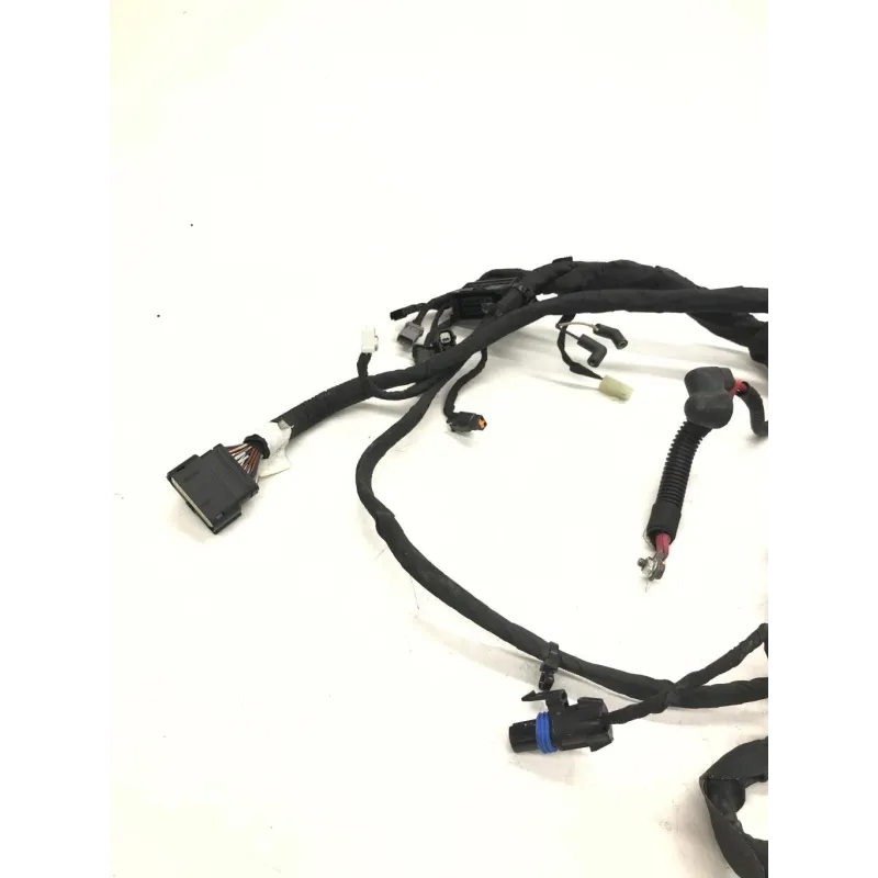 Faisceau electrique HARLEY DAVIDSON FXBB 1745 2018-2020 SOFTAIL STREET BOB