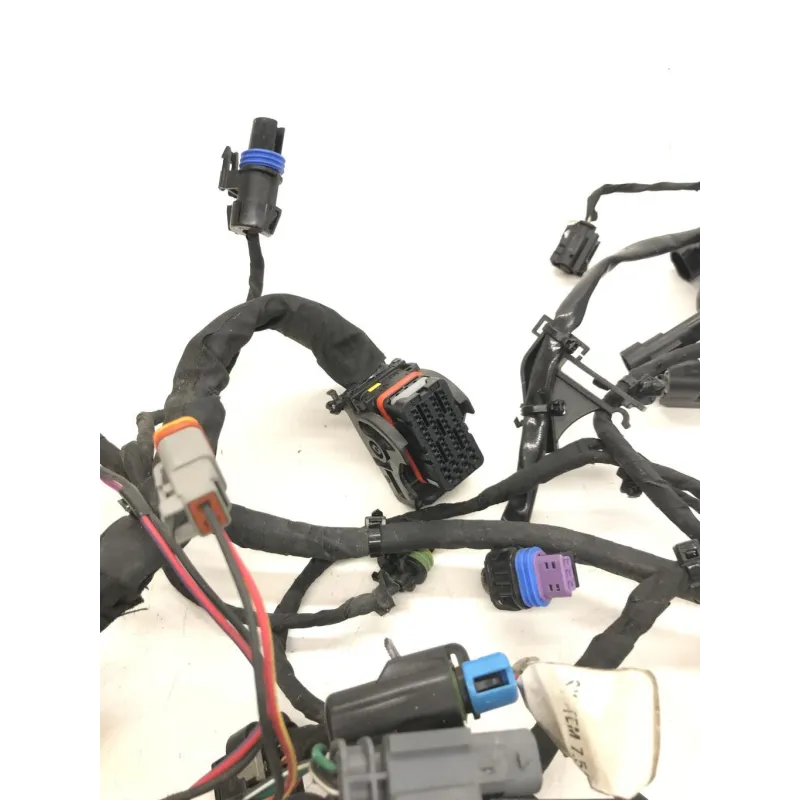Faisceau electrique HARLEY DAVIDSON FXBB 1745 2018-2020 SOFTAIL STREET BOB