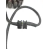 Stator alternateur HONDA CBR 600 F 1989-1990