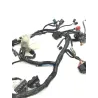Faisceau electrique KAWASAKI Z 650 2020-2022 Faisceau electrique KAWASAKI Z 650 2020-2022