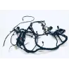 Faisceau electrique HONDA NSS 250 2005-2008 FORZA ABS