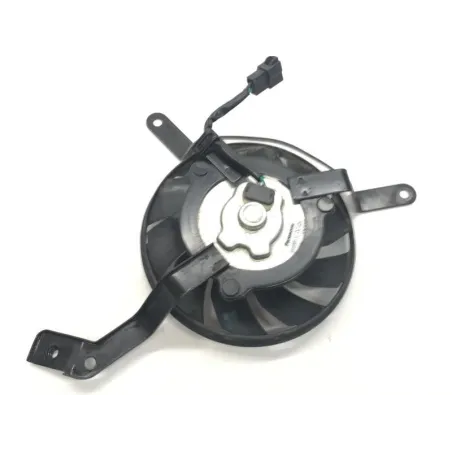 Ventilateur TRIUMPH STREET TRIPLE R 675 2011-2012