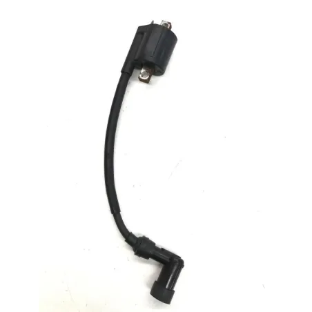Bobine allumage YAMAHA YP 125 2001-2002 MAJESTY