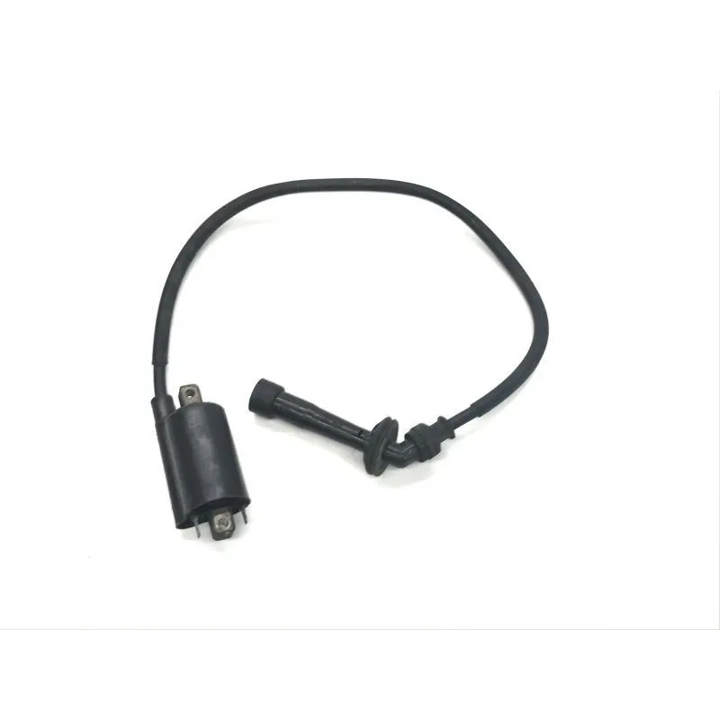 Bobine allumage SUZUKI TL 1000 R 1998-2002