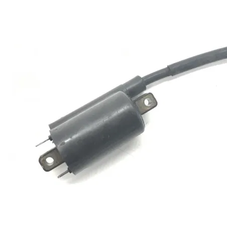 Bobine allumage SUZUKI TL 1000 R 1998-2002
