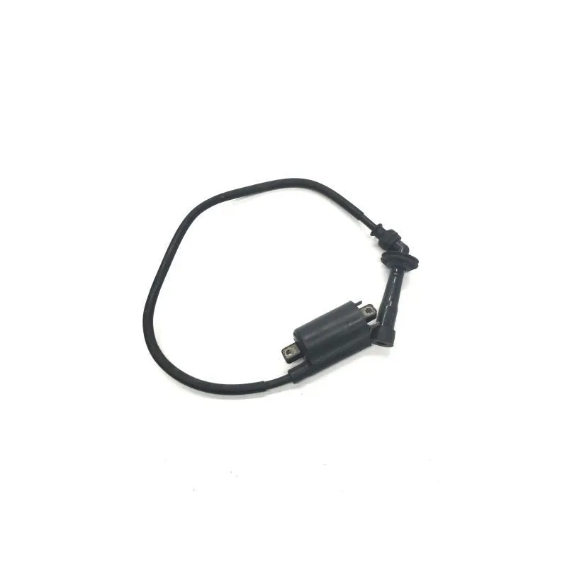 Bobine allumage SUZUKI TL 1000 R 1998-2002