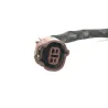 Faisceau electrique YAMAHA TY 250 Z 1993-1996