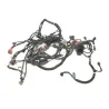 Faisceau electrique POLARIS RZR 900 2015 50/55 Faisceau electrique POLARIS RZR 900 2015 50/55
