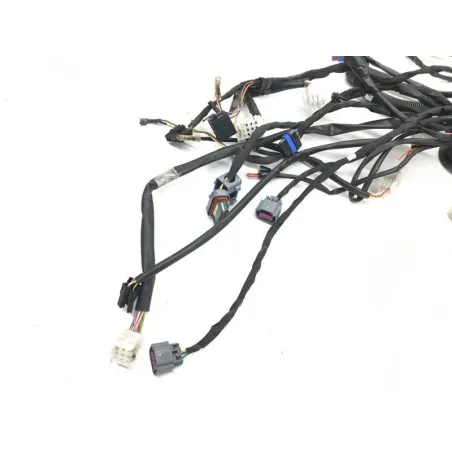 Faisceau electrique POLARIS RZR 900 2015 50/55