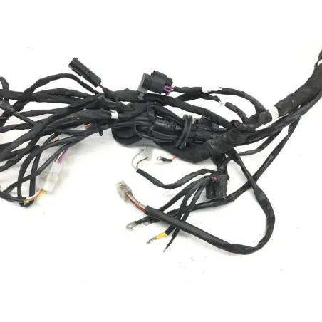 Faisceau electrique POLARIS RZR 900 2015 50/55