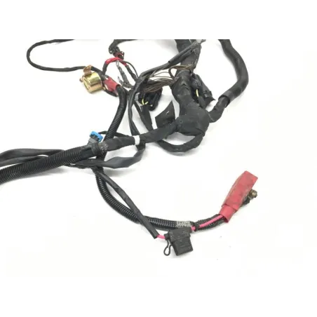 Faisceau electrique POLARIS RZR 900 2015 50/55