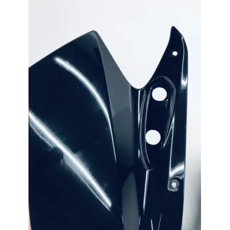 Cache carenage tete de fourche YAMAHA YZF 320 2014-2018 R3
