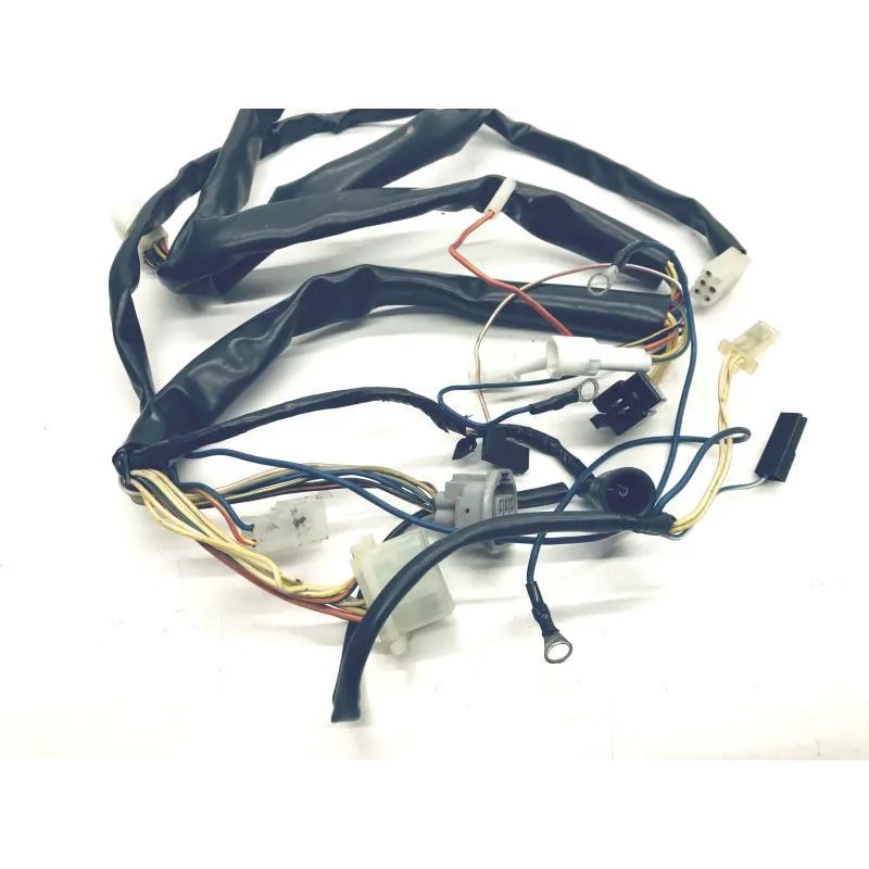 Faisceau electrique APRILIA LEONARDO 125 1996-1998