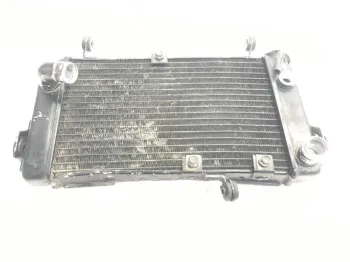 Radiateur eau SUZUKI SV 650 S 1999-2002