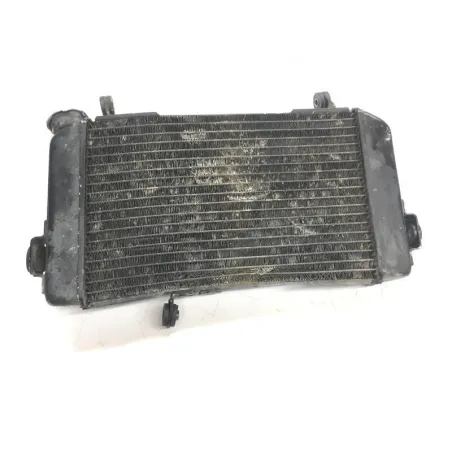 Radiateur eau SUZUKI SV 650 S 1999-2002