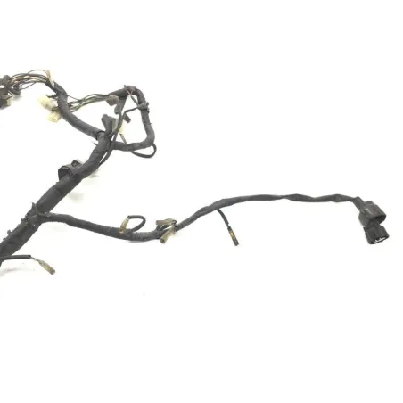 Faisceau electrique YAMAHA XJ 600 N 1999-2002