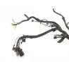 Faisceau electrique YAMAHA XJ 600 N 1999-2002 Faisceau electrique YAMAHA XJ 600 N 1999-2002