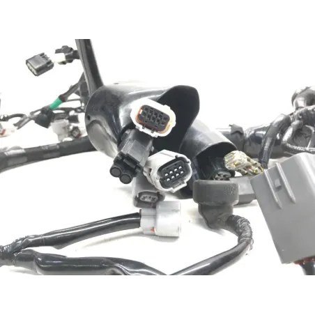 Faisceau electrique KAWASAKI Z 1000 2020-2022 H2