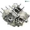 Carter moteur DUCATI PANIGALE 1100 V4 2018