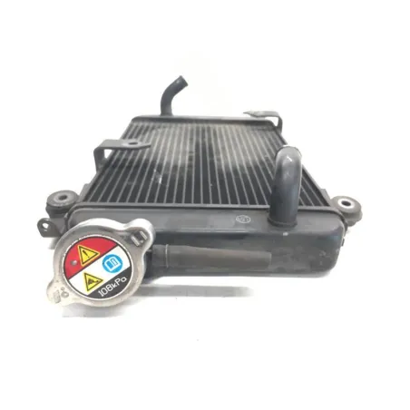 Radiateur eau HONDA SH 300 2011-2014
