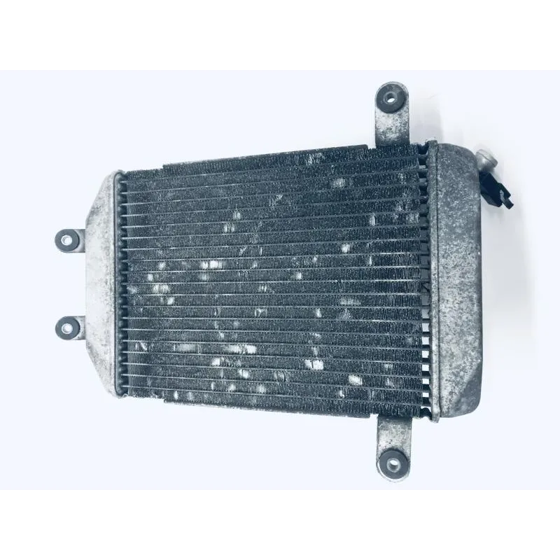 Radiateur eau SUZUKI AN 400 1999-2002 BURGMAN