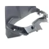 Entourage compteur HONDA NSS 125 2019-2020 FORZA