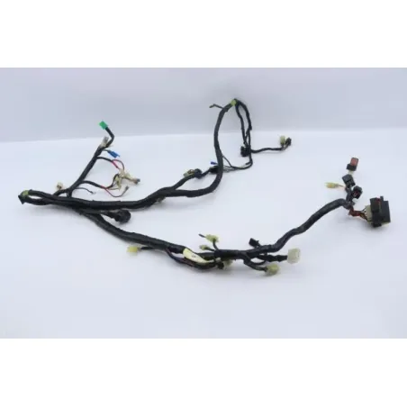 Faisceau electrique YAMAHA XJS 900 DIVERSION 1995 - 2003