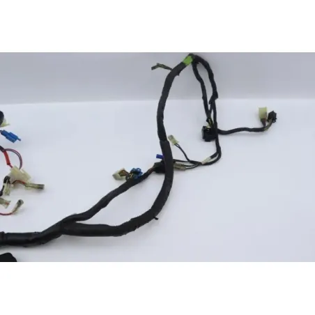 Faisceau electrique YAMAHA XJS 900 DIVERSION 1995 - 2003