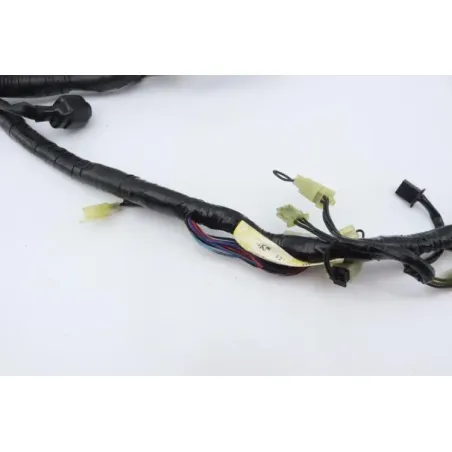 Faisceau electrique YAMAHA XJS 900 DIVERSION 1995 - 2003