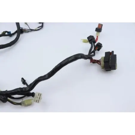 Faisceau electrique YAMAHA XJS 900 DIVERSION 1995 - 2003