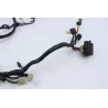 Faisceau electrique YAMAHA XJS 900 DIVERSION 1995 - 2003 Faisceau electrique YAMAHA XJS 900 DIVERSION 1995 - 2003