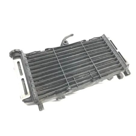 Radiateur eau HONDA CB 600 F 1998-1999 HORNET