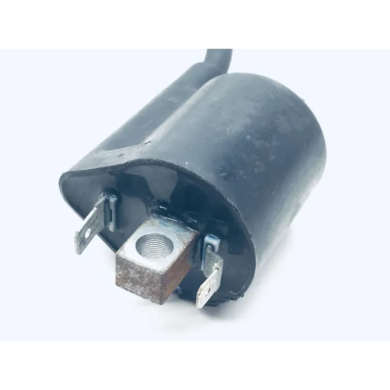 Bobine allumage YAMAHA YPR 250 2010-2013 XMAX