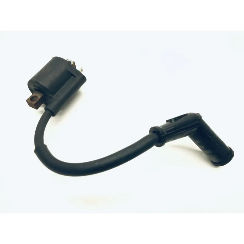Bobine allumage YAMAHA YPR 250 2010-2013 XMAX