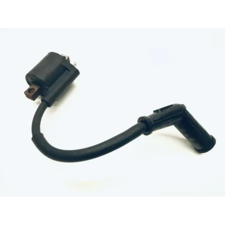 Bobine allumage YAMAHA YPR 250 2010-2013 XMAX