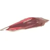 Cache carenage coque arriere droit HONDA PCX 125 2021-2022 Cache carenage coque arriere droit HONDA PCX 125 2021-2022