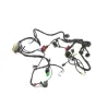 Faisceau electrique HONDA FES 125 2003-2006 PANTHEON Faisceau electrique HONDA FES 125 2003-2006 PANTHEON
