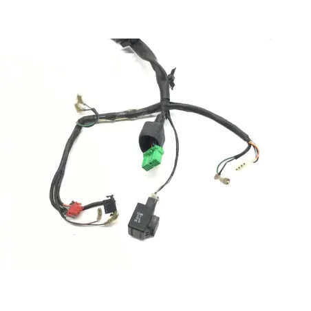 Faisceau electrique HONDA FES 125 2003-2006 PANTHEON