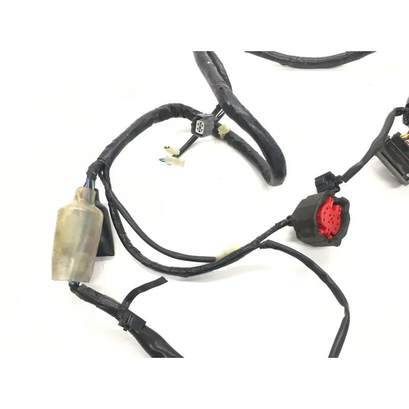 Faisceau electrique HONDA FES 125 2003-2006 PANTHEON