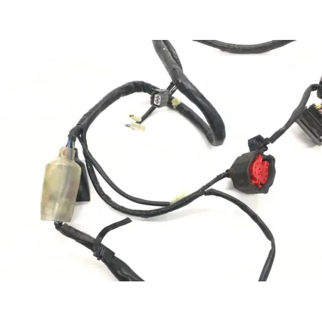 Faisceau electrique HONDA FES 125 2003-2006 PANTHEON