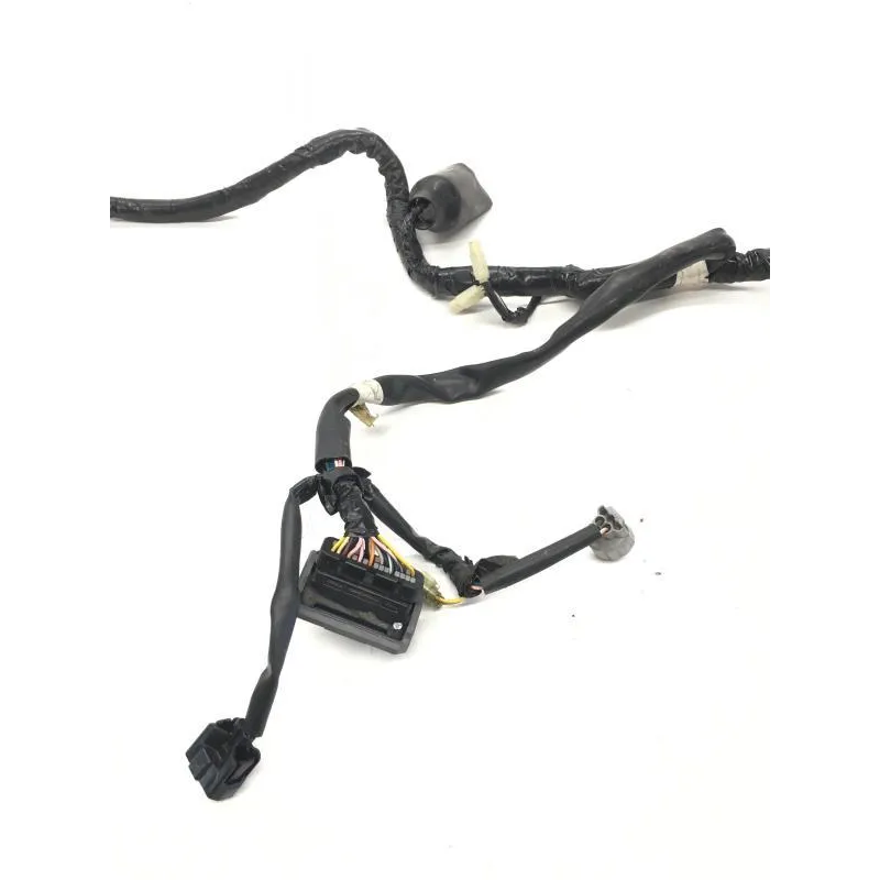 Faisceau electrique HONDA FES 125 2003-2006 PANTHEON