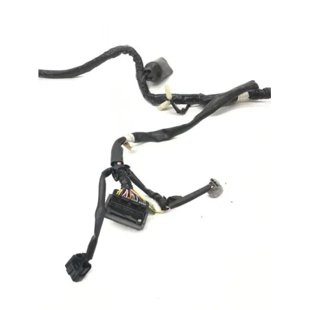 Faisceau electrique HONDA FES 125 2003-2006 PANTHEON