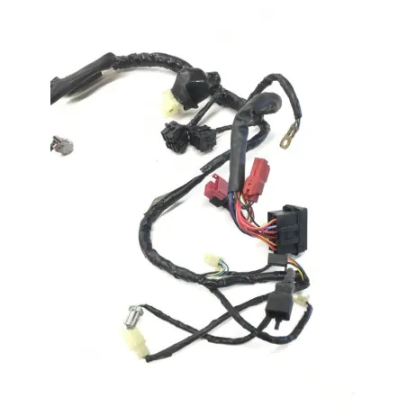 Faisceau electrique HONDA FES 125 2003-2006 PANTHEON