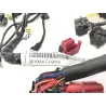 Faisceau electrique HONDA FES 125 2003-2006 PANTHEON Faisceau electrique HONDA FES 125 2003-2006 PANTHEON